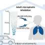 Measurements suggest we inhale 68,000 lung-penetrating microplastics daily in our homes and cars