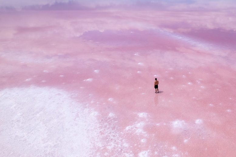 Scientists Uncover Mysterious “Oases” on the Drying Shores of the Great Salt Lake