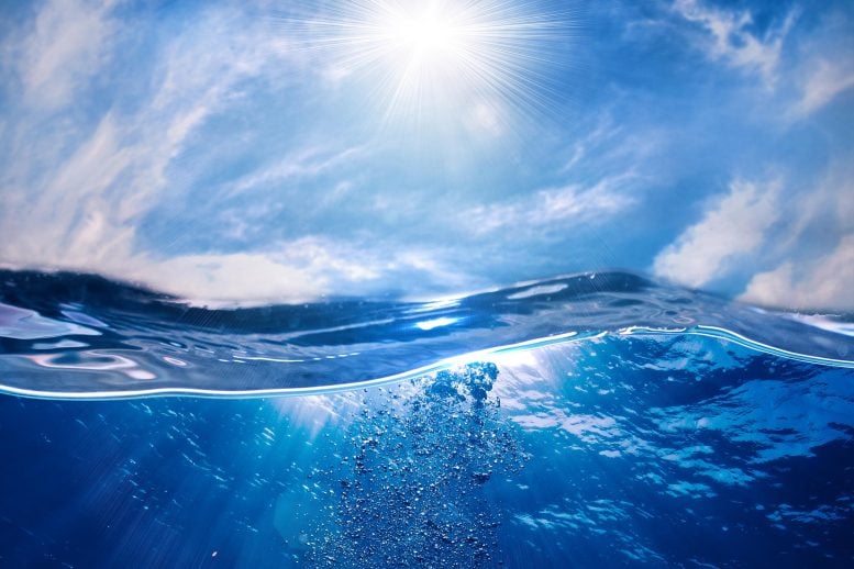 Each Winter, These Tiny Ocean Travelers Bury Millions of Tons of Carbon