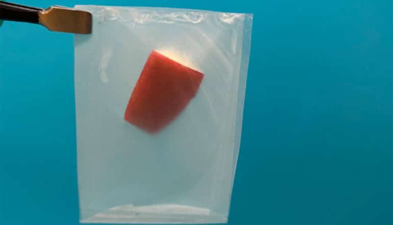 Leaves inspire stronger, biodegradable plastic