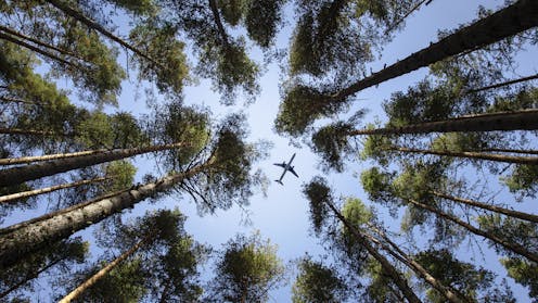 Inside the search for sustainable aviation fuels, which are on the federal chopping block