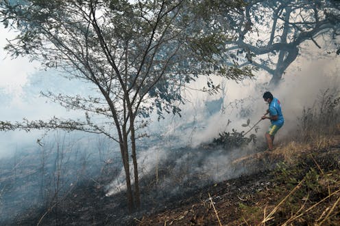 Wildfire disasters are increasingly in the news, yet less land is burning globally – here’s why