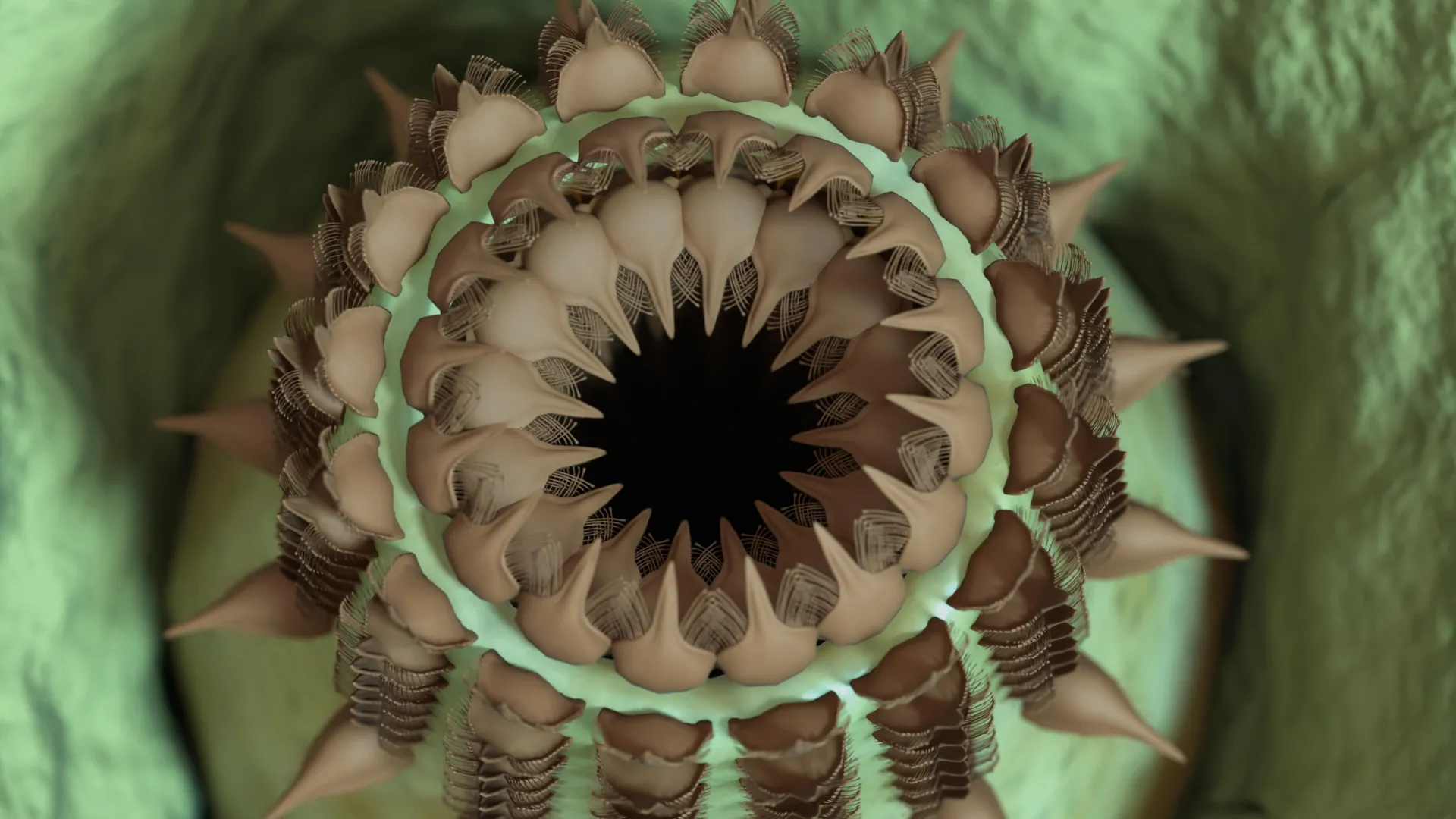 Bizarre ancient creatures unearthed in the Grand Canyon