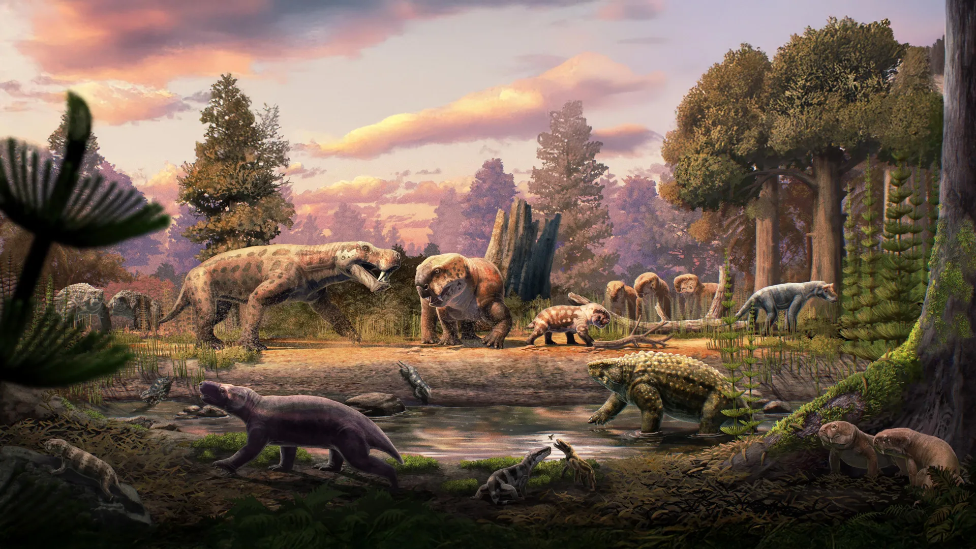 Ancient predators and giant amphibians found in African fossil treasure trove