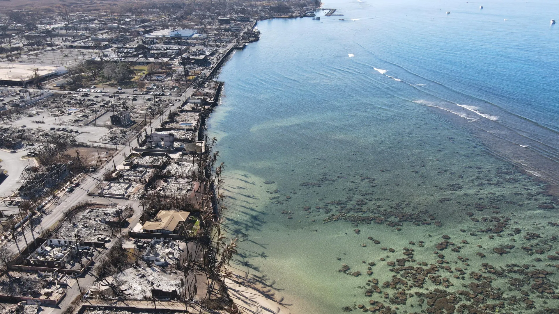 Maui’s fires drove a 67% jump in deaths. Most went uncounted