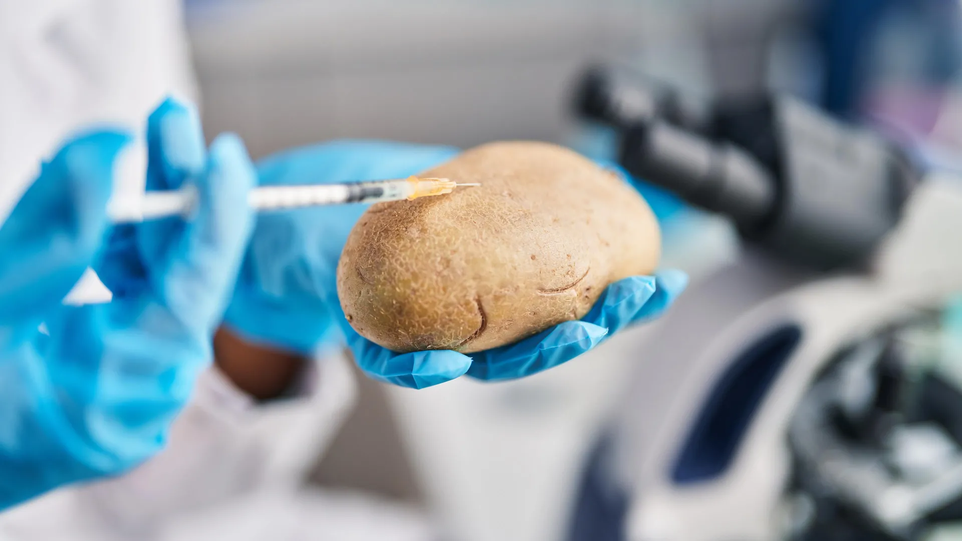 Scientists just solved the 9-million-year mystery of where potatoes came from
