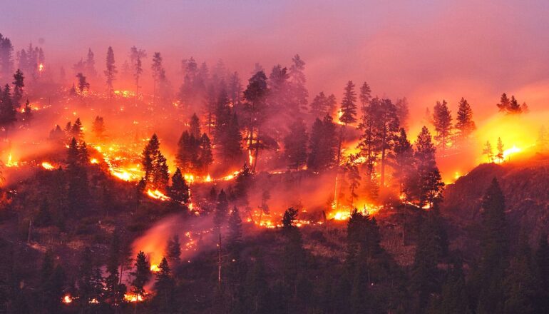 Northwest US will face higher lightning and wildfire risk