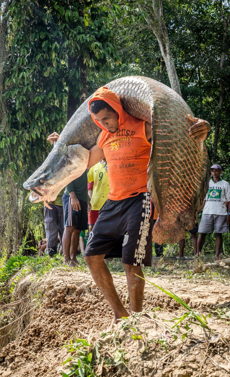Amazon Communities Deliver “Unprecedented” Conservation Wins