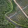 EU proposes new delay to anti-deforestation rules