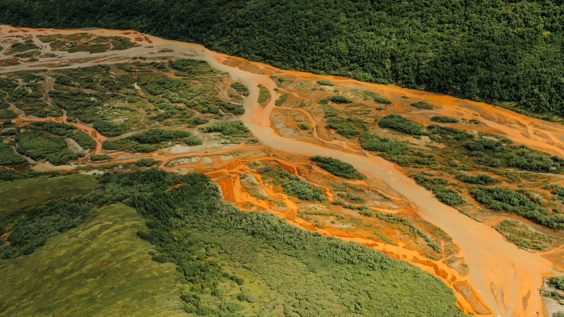 Why Alaska’s salmon streams are suddenly bleeding orange