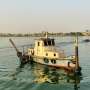 Invasive plants and bacteria threaten Iraq’s Euphrates