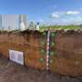 From fragile to fertile: The science behind sandy soil recovery