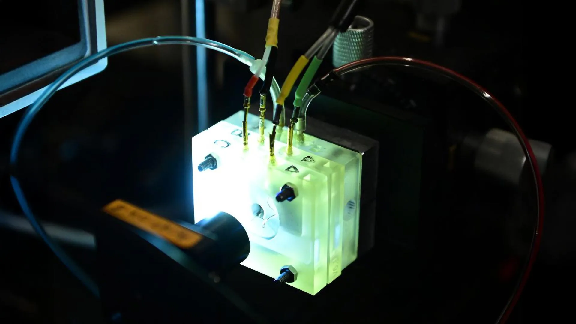 First living cochlea outside the body shows how hearing really works