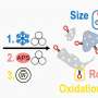 Standardized approach replicates microplastics in the lab with greater precision