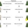 Proactive forest management reduces high-severity wildfire by 88%, stabilizes carbon during extreme droughts