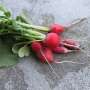 Study provides first evidence that plastic nanoparticles can accumulate in the edible parts of vegetables