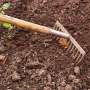 To clean fire-tainted soil, LA residents turn to nature to do it themselves