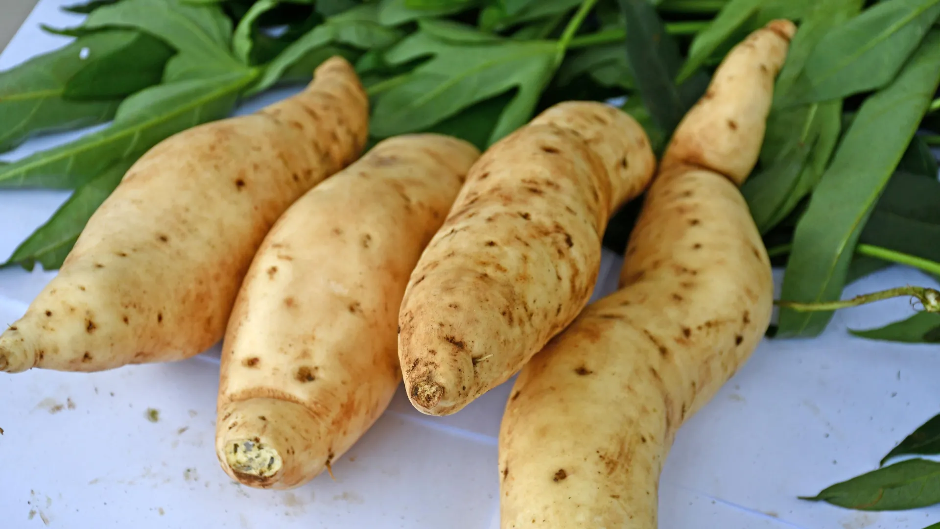 The sweetpotato’s DNA turned out stranger than anyone expected