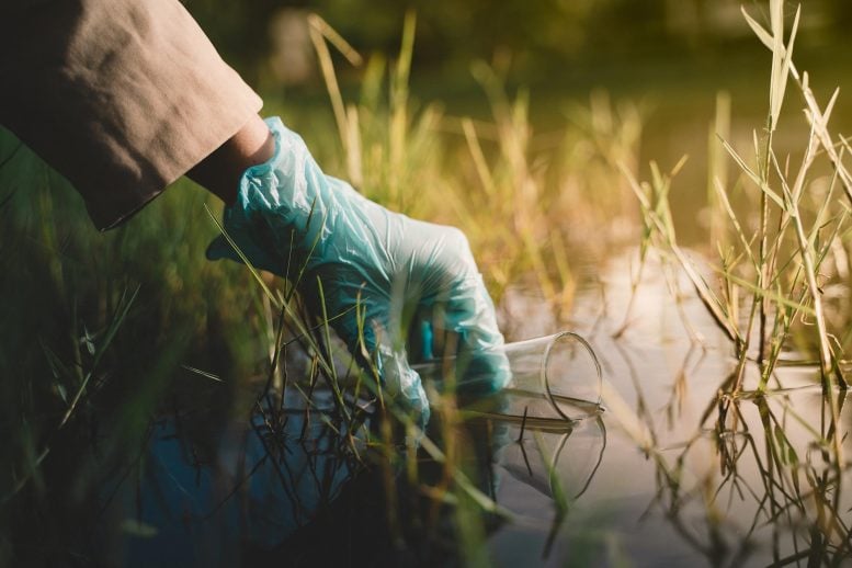 World’s Rivers “Overdosing” on Human Antibiotics, Study Finds