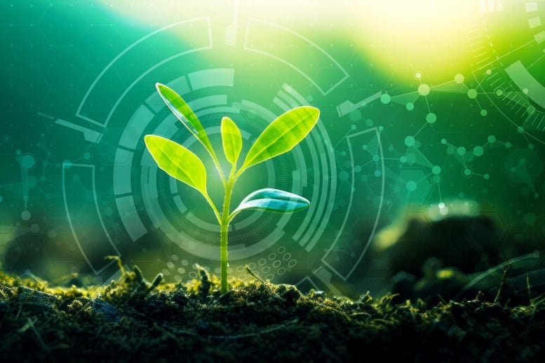 The World’s Food Supply Is at Risk: Modern Agriculture Is Destroying the Soil Beneath Our Feet