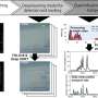 AI-based system automatically detects and tracks river plastics