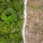 Brazil boasts drop in deforestation ahead of UN climate talks