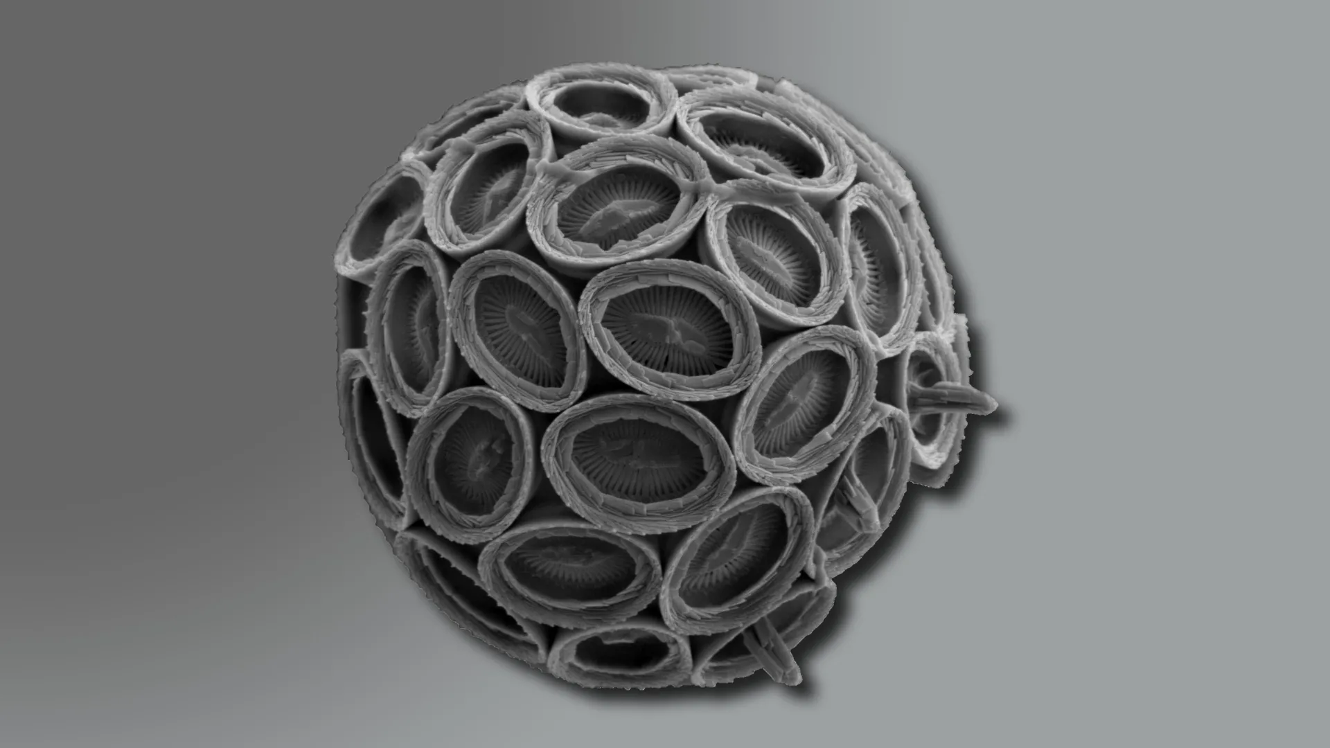 They’re smaller than dust, but crucial for Earth’s climate