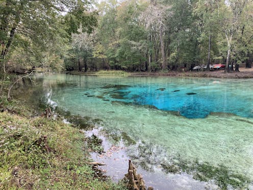 Florida’s 1,100 natural springs are under threat – a geographer explains how to restore them