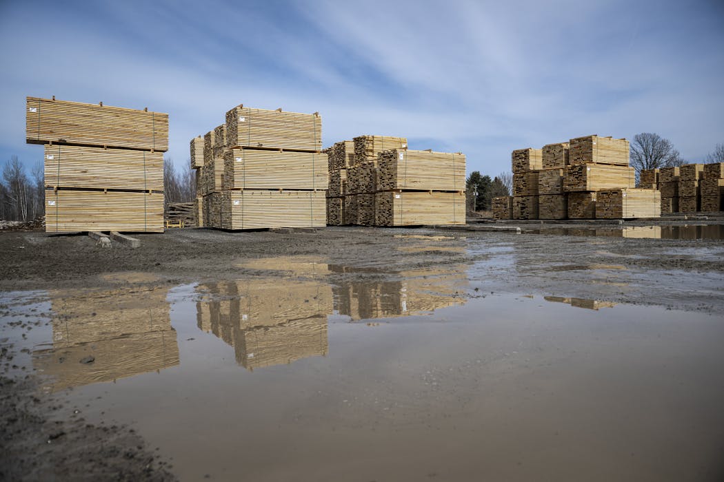 Why higher tariffs on Canadian lumber may not be enough to stimulate long-term investments in US forestry
