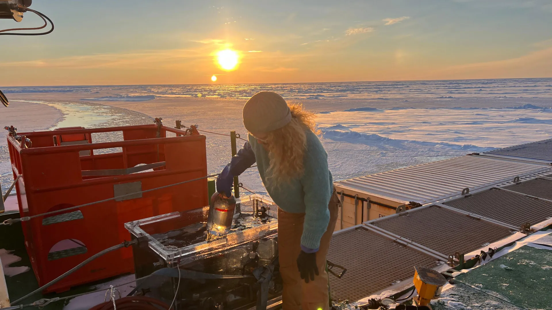 Scientists just found hidden life thriving beneath the Arctic ice