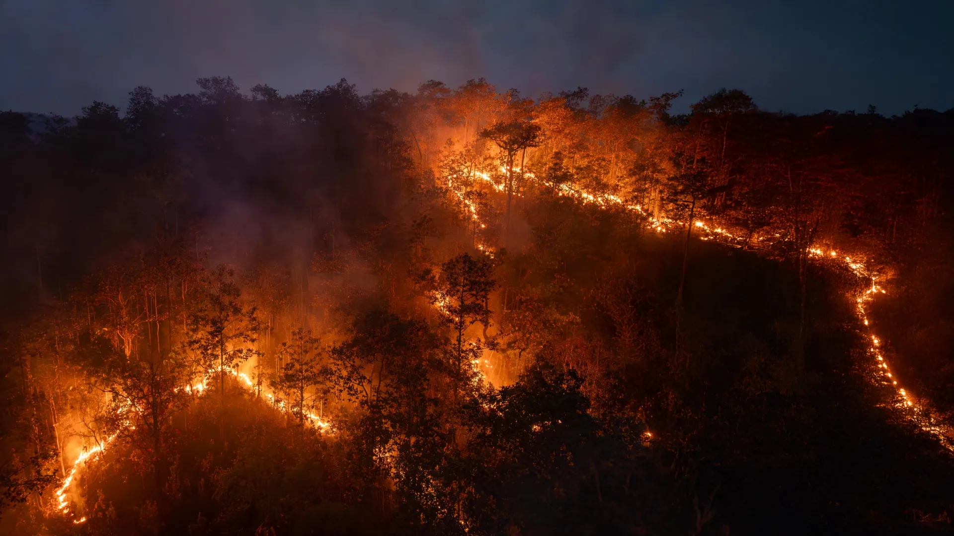 Record Amazon fires release more carbon than an entire country
