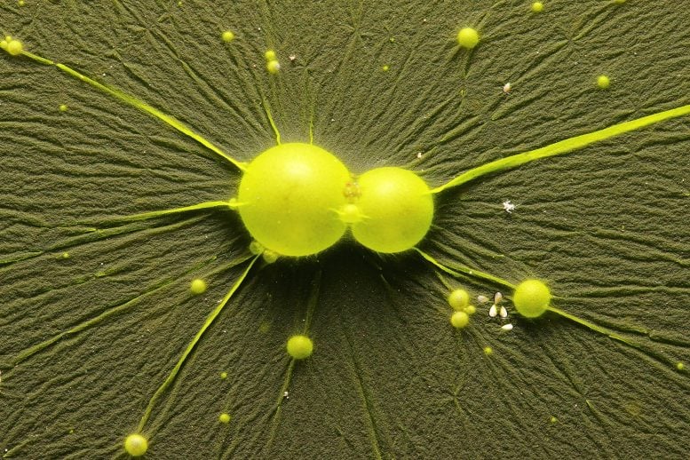 The Hidden Chemistry That Let Earth Finally Breathe