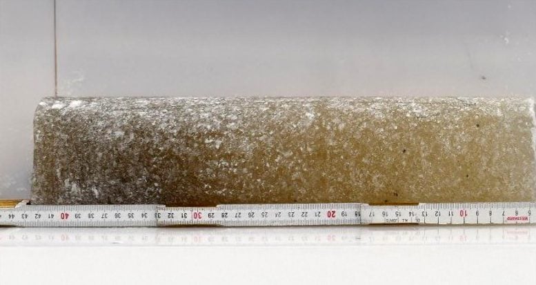 Antarctica’s 6-Million-Year Ice Discovery Rewrites What We Know About Climate