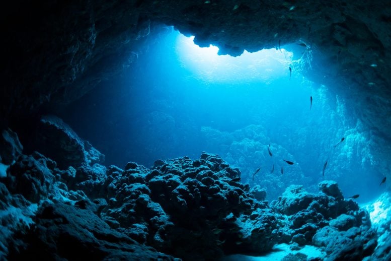 Deep-Sea Mining Could Starve the Ocean’s Hidden World