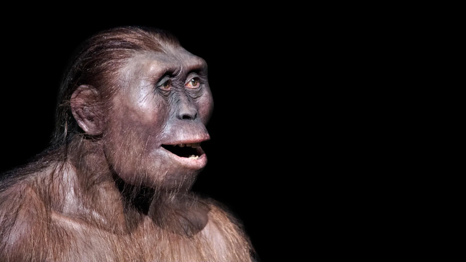 A strange ancient foot reveals a hidden human cousin