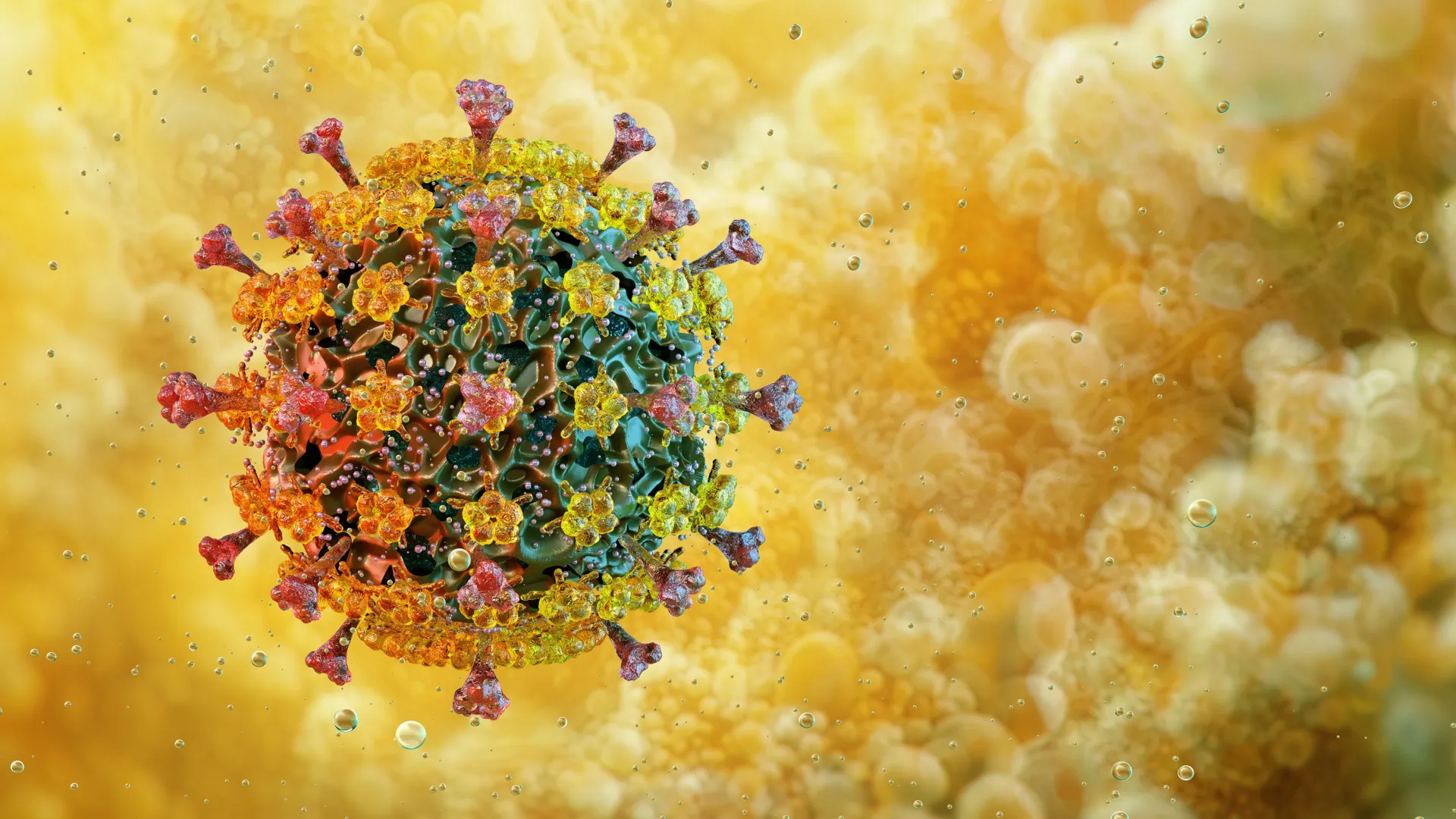 Bird flu’s surprising heat tolerance has scientists worried