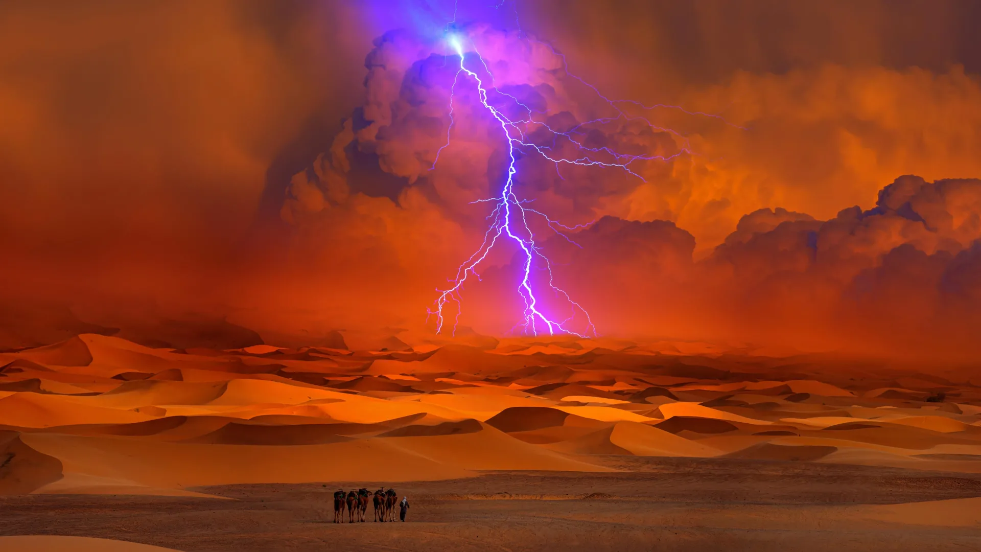 Scientists predict a wetter, greener future for the Sahara Desert