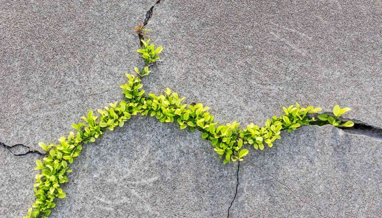 New insights could make concrete greener and tougher