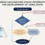 COVID-19 vaccination lowers long COVID risk in adolescents