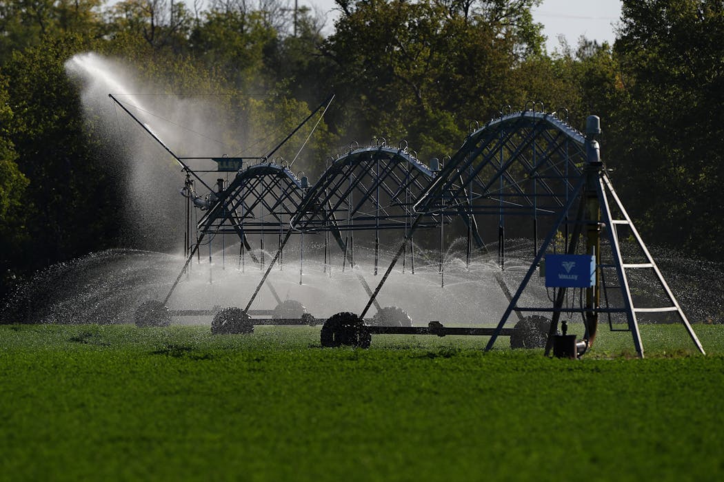 2 ways you can conserve the water used to make your food