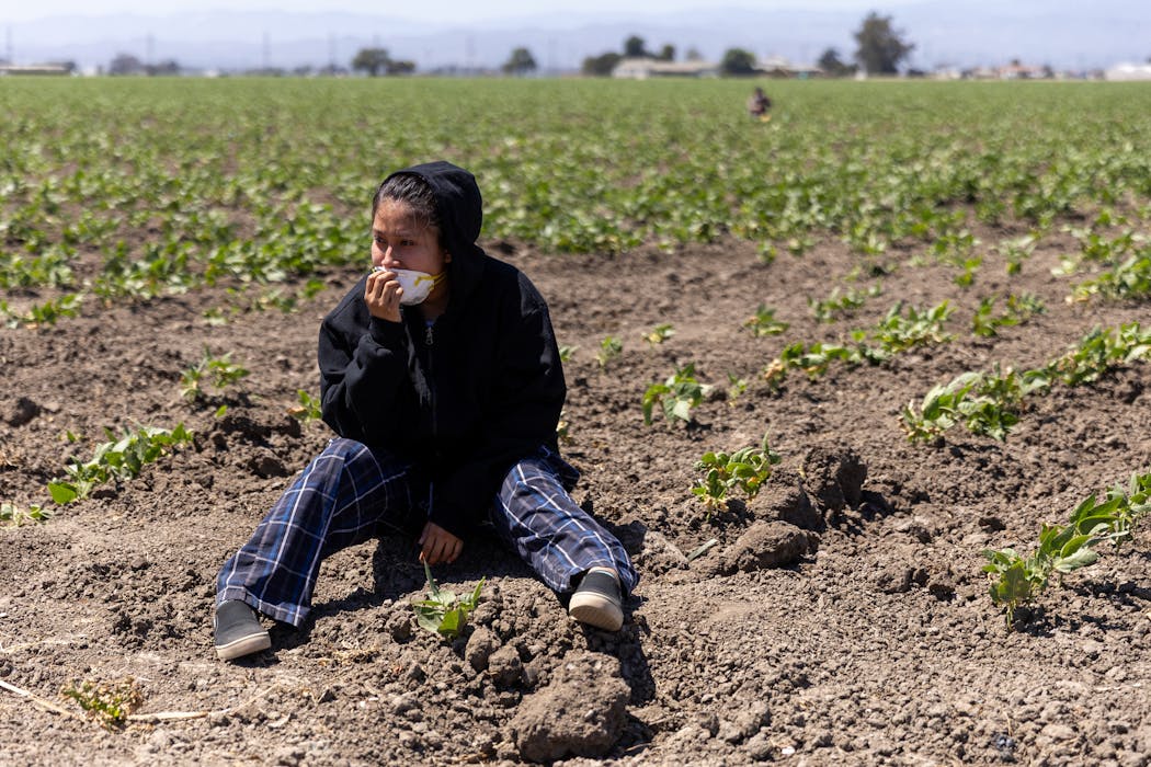 As US hunger rises, Trump administration’s ‘efficiency’ goals cause massive food waste
