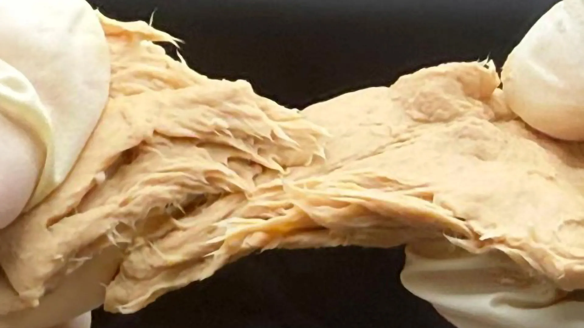 This engineered fungus cuts emissions and tastes like meat