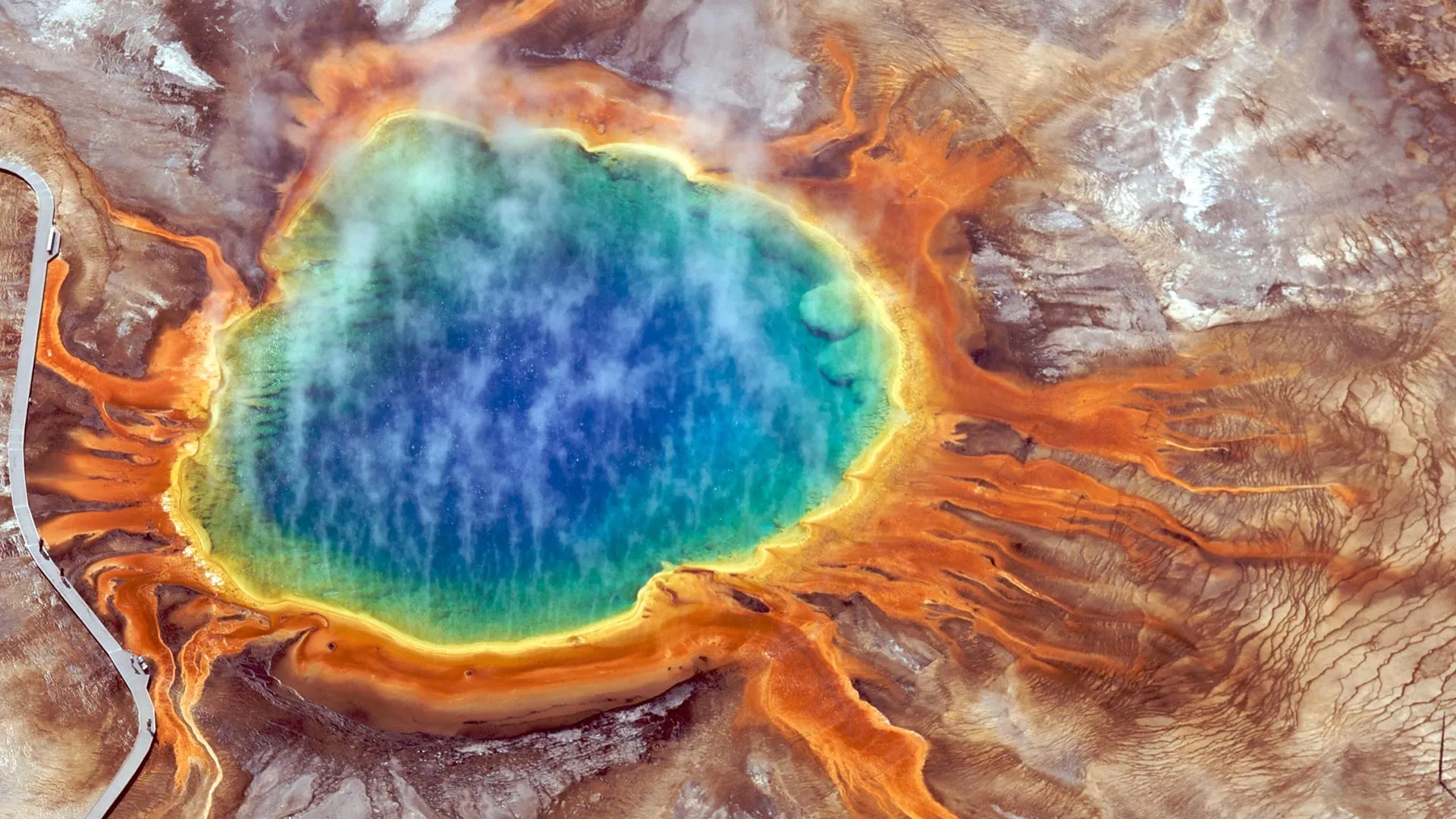 Tiny Yellowstone quakes ignite a surge of hidden life underground