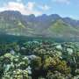 Island-wide field surveys illuminate land-sea connections in Mo’orea
