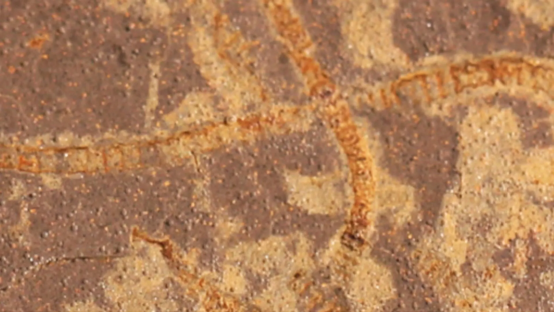 Secret chemical traces reveal life on Earth 3. 3 billion years ago