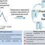 Many factors influence the fate of pharmaceutical residues in the soil