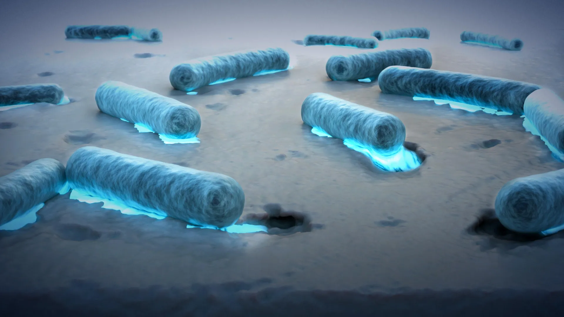 Plastic-eating bacteria discovered in the ocean