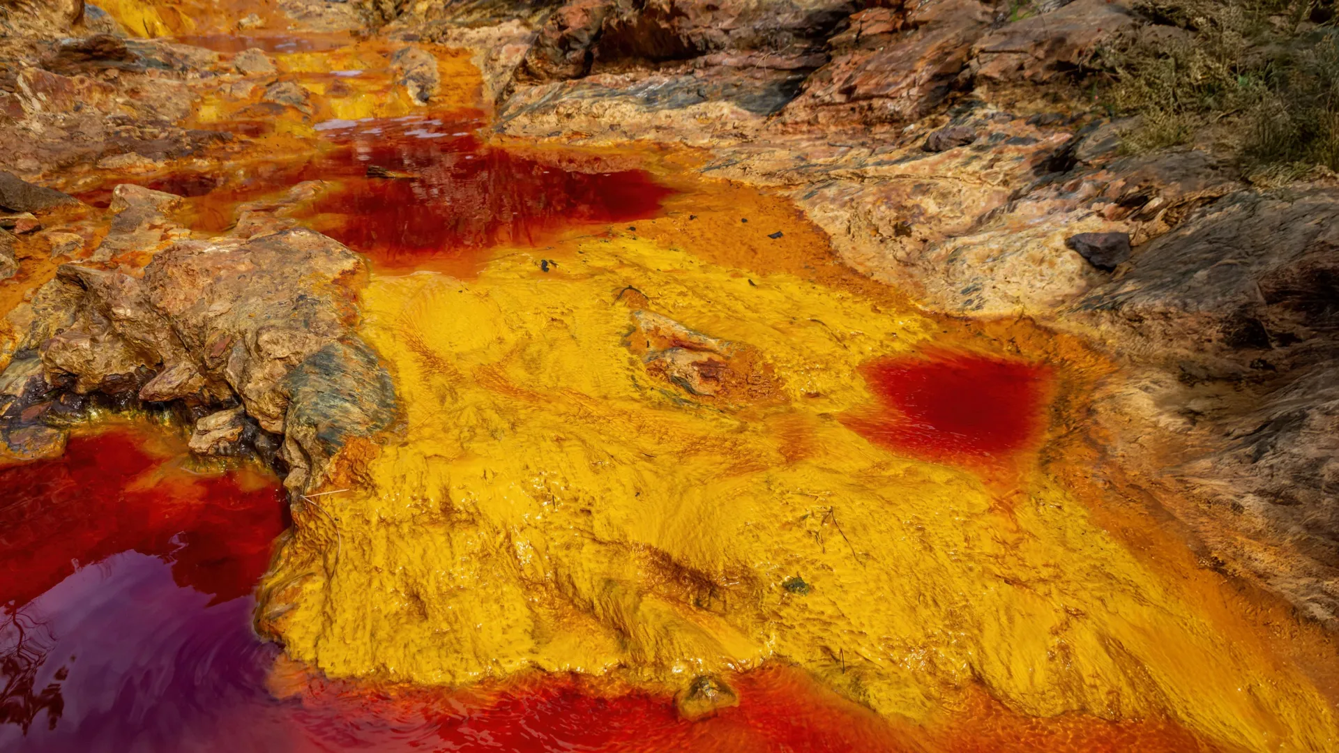 Microbes that breathe rust could help save Earth’s oceans