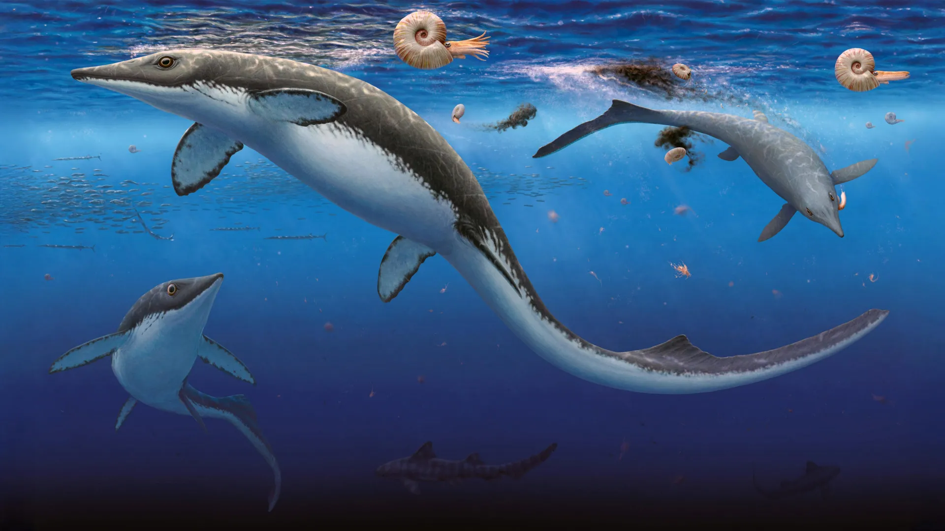 Earth’s worst extinction was followed by a shockingly fast ocean comeback
