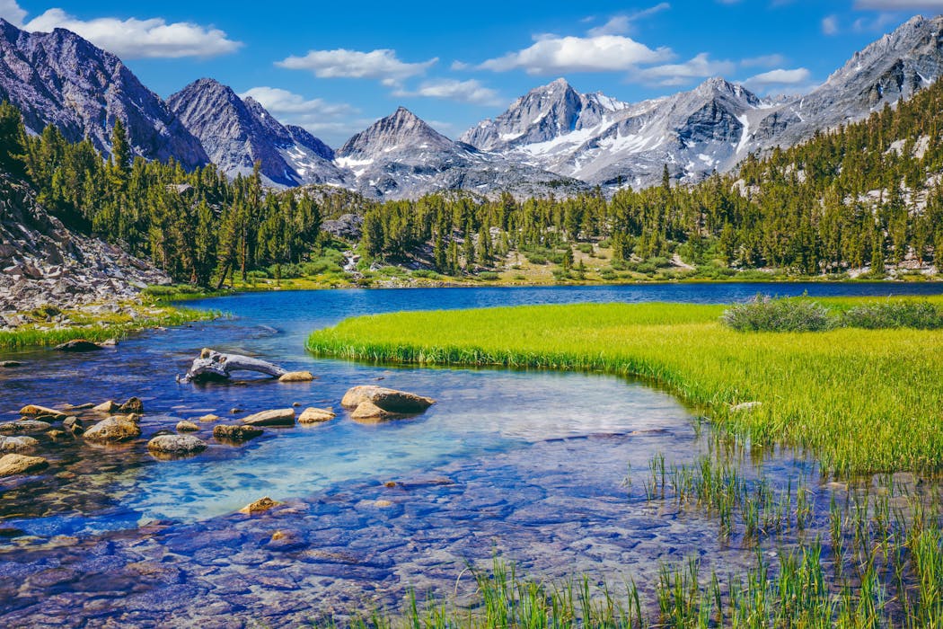 Where the wild things thrive: Finding and protecting nature’s climate change safe havens